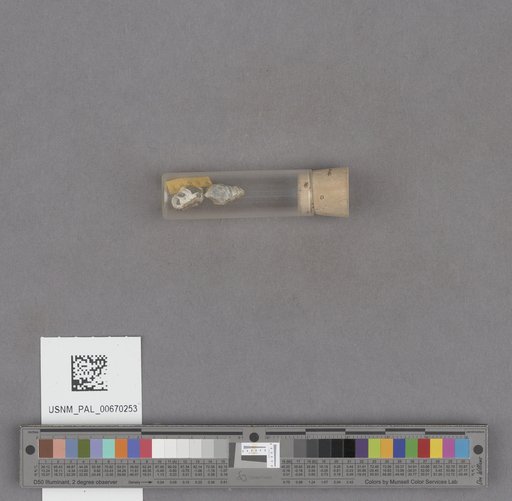 NSF ADBC EPICC TCN