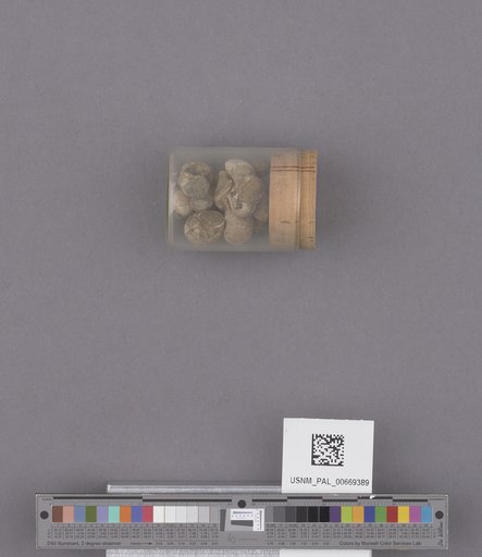 NSF ADBC EPICC TCN