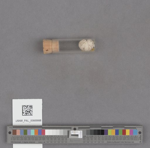 NSF ADBC EPICC TCN