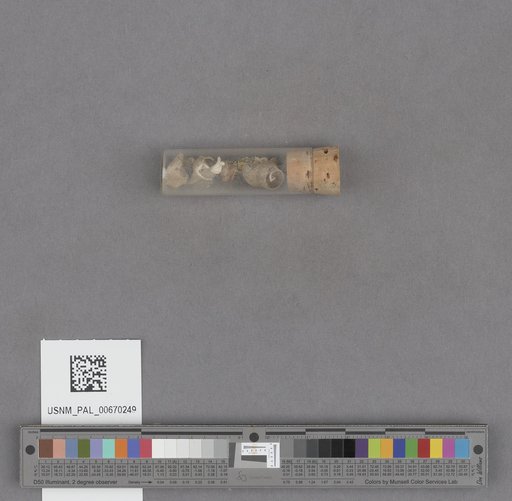 NSF ADBC EPICC TCN