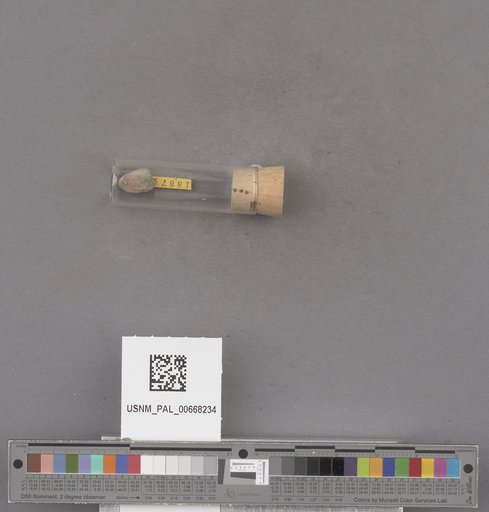 NSF ADBC EPICC TCN