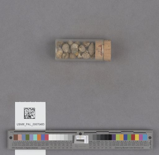 NSF ADBC EPICC TCN
