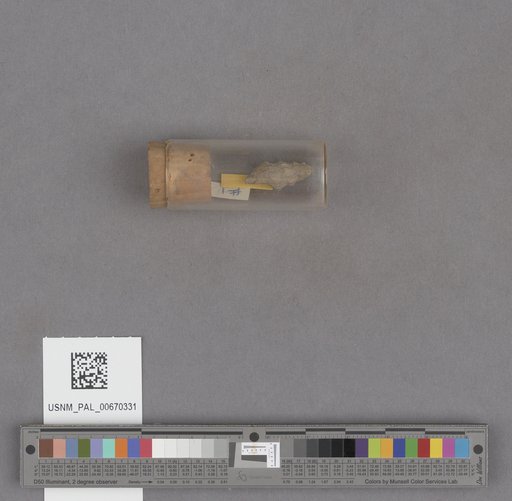NSF ADBC EPICC TCN
