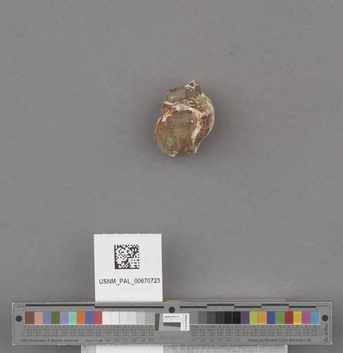 NSF ADBC EPICC TCN