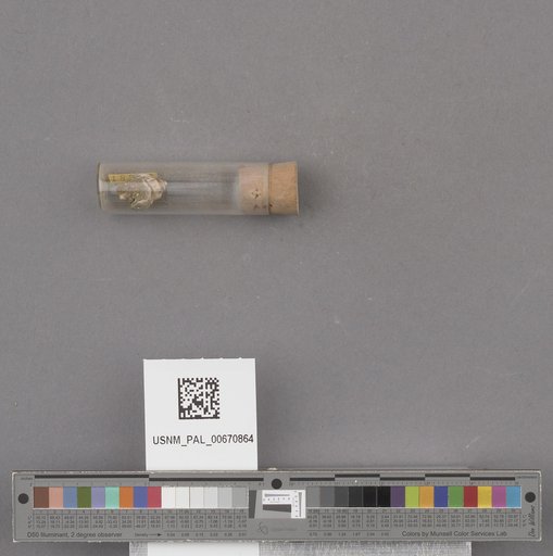 NSF ADBC EPICC TCN