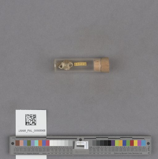 NSF ADBC EPICC TCN