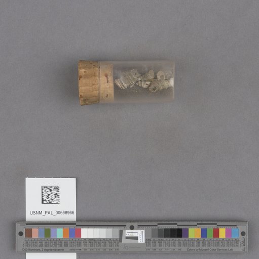 NSF ADBC EPICC TCN