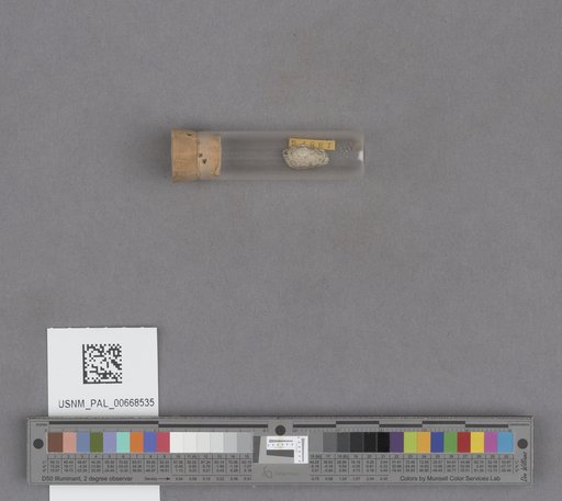 NSF ADBC EPICC TCN