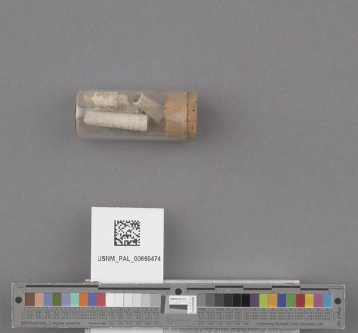 NSF ADBC EPICC TCN