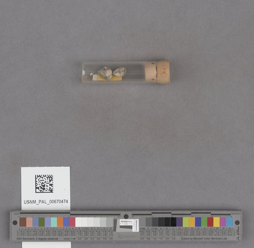 NSF ADBC EPICC TCN