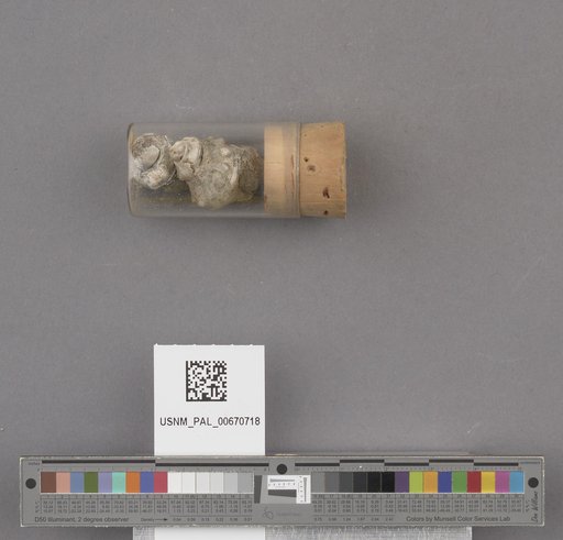 NSF ADBC EPICC TCN