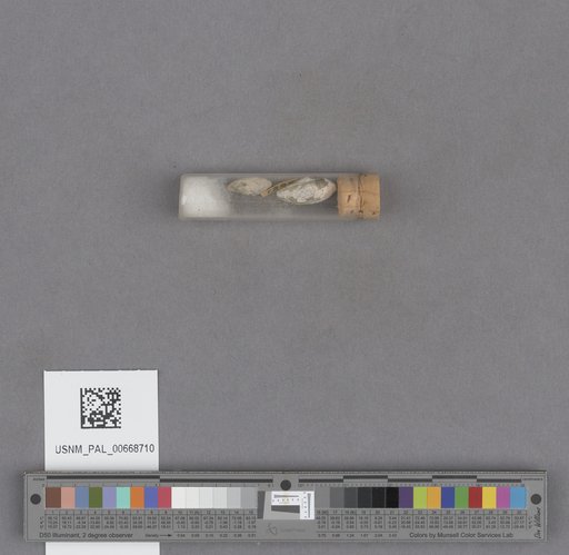 NSF ADBC EPICC TCN