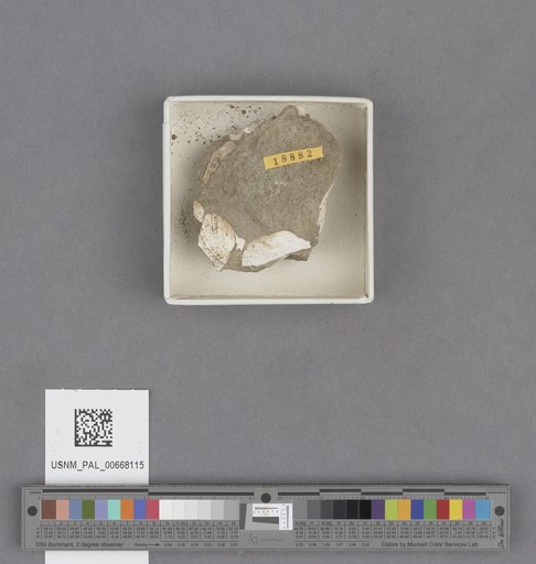 NSF ADBC EPICC TCN