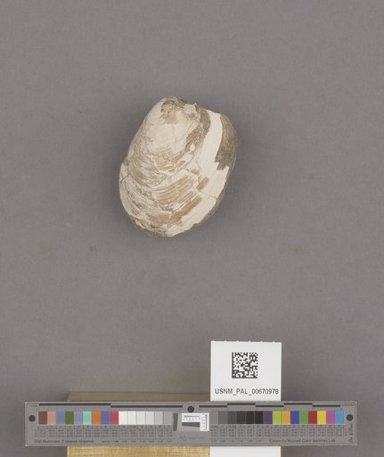 NSF ADBC EPICC TCN