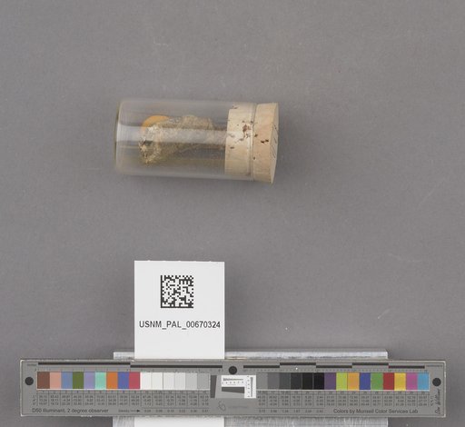 NSF ADBC EPICC TCN