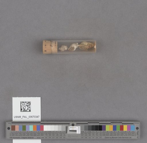 NSF ADBC EPICC TCN