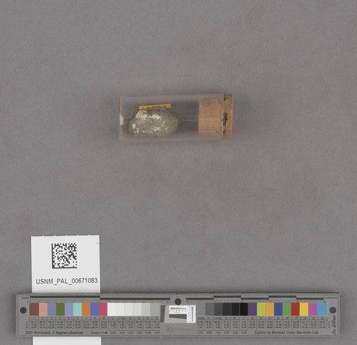 NSF ADBC EPICC TCN