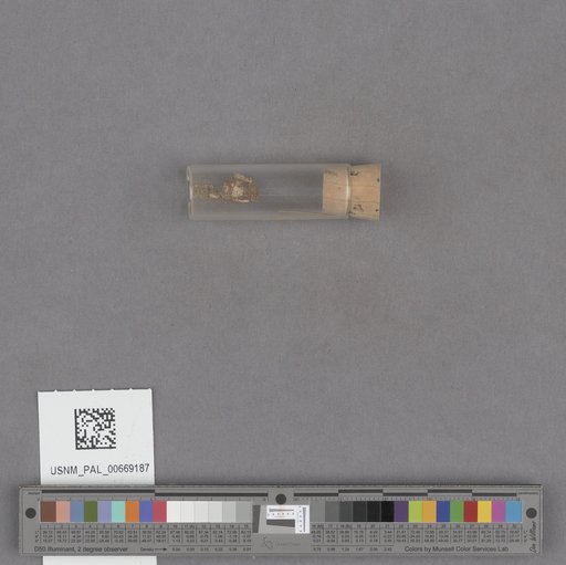 NSF ADBC EPICC TCN