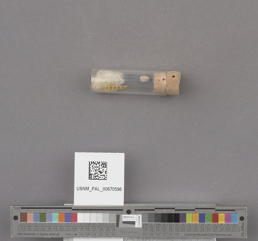 NSF ADBC EPICC TCN