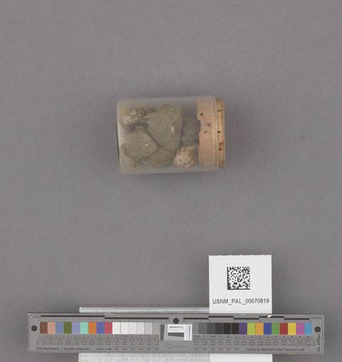 NSF ADBC EPICC TCN