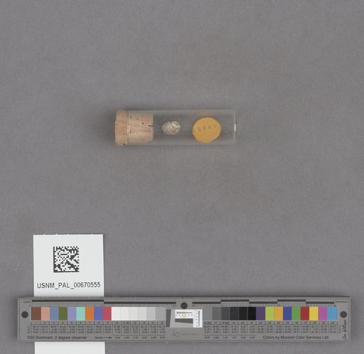 NSF ADBC EPICC TCN