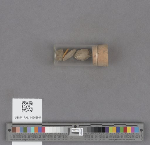 NSF ADBC EPICC TCN