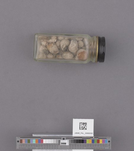 NSF ADBC EPICC TCN