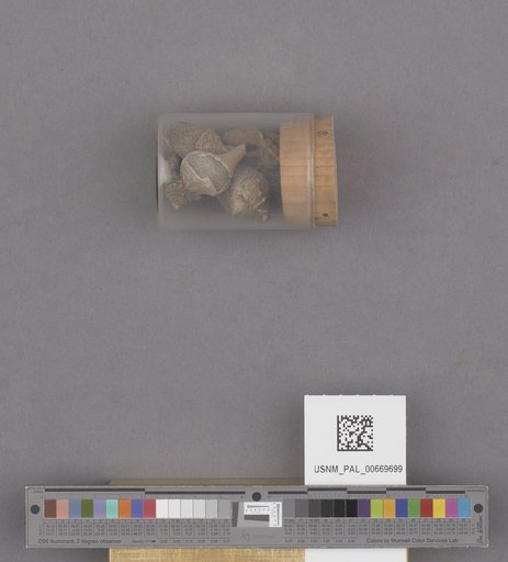 NSF ADBC EPICC TCN