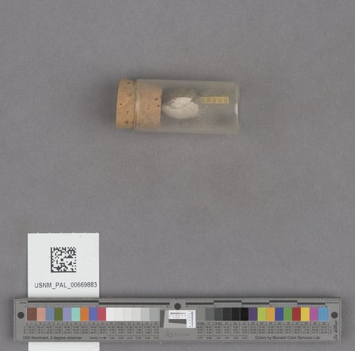 NSF ADBC EPICC TCN