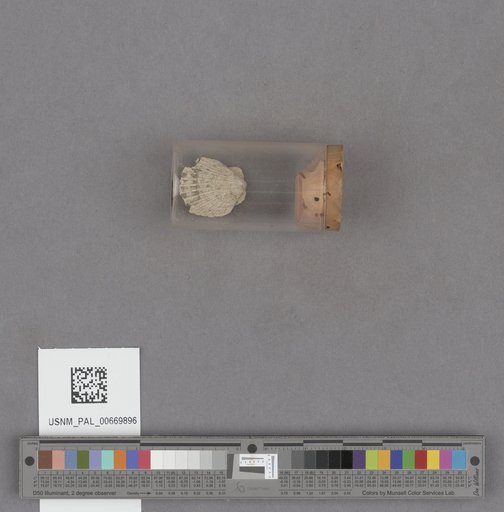 NSF ADBC EPICC TCN