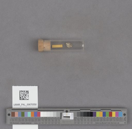 NSF ADBC EPICC TCN