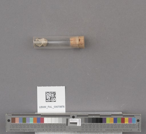 NSF ADBC EPICC TCN