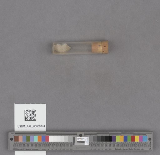 NSF ADBC EPICC TCN