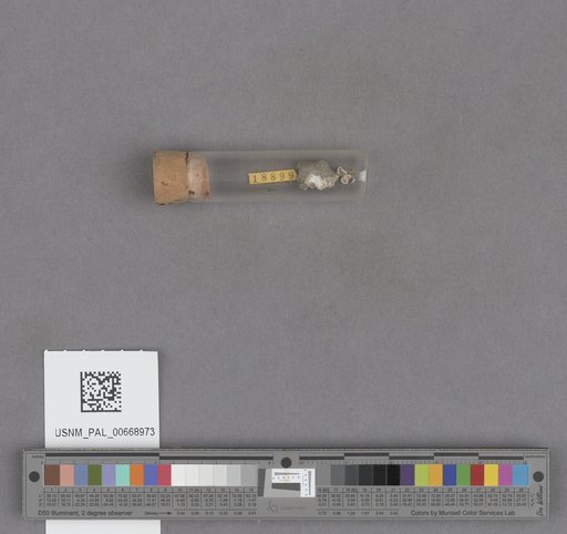 NSF ADBC EPICC TCN