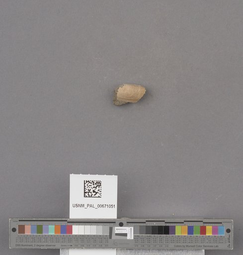 NSF ADBC EPICC TCN