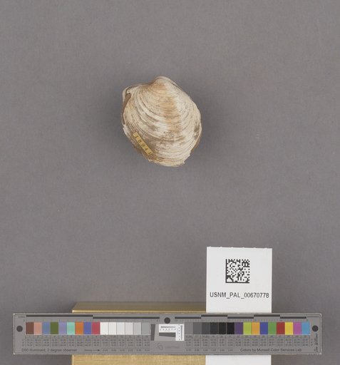 NSF ADBC EPICC TCN