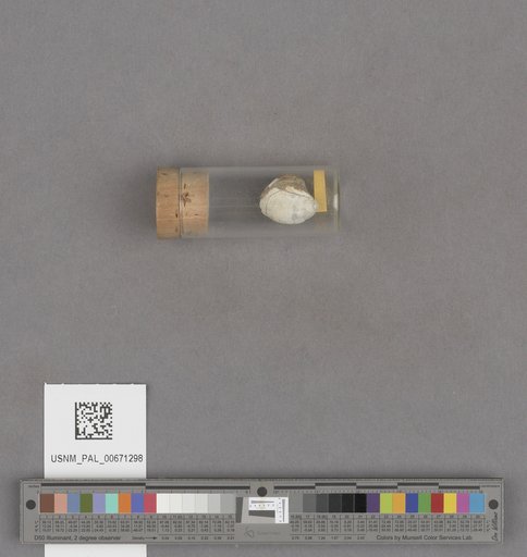NSF ADBC EPICC TCN