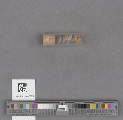 NSF ADBC EPICC TCN