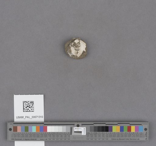 NSF ADBC EPICC TCN