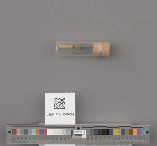 NSF ADBC EPICC TCN