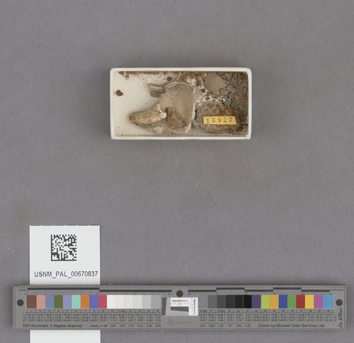 NSF ADBC EPICC TCN