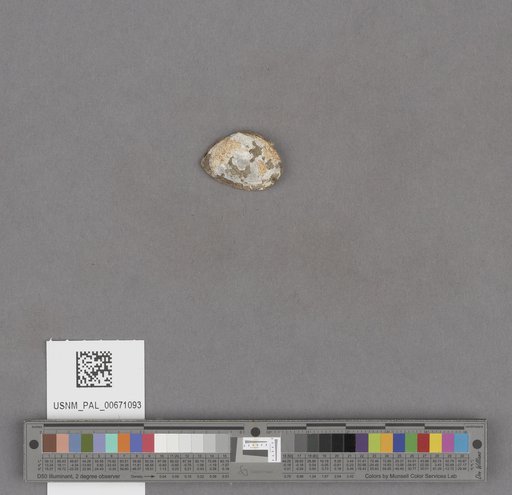 NSF ADBC EPICC TCN