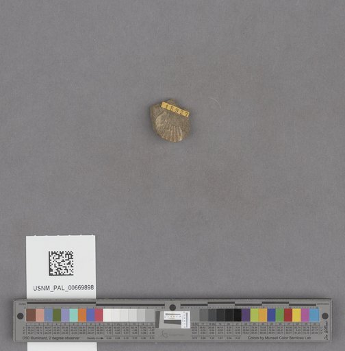 NSF ADBC EPICC TCN