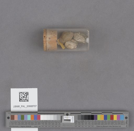 NSF ADBC EPICC TCN