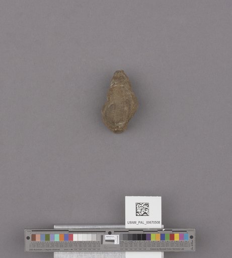 NSF ADBC EPICC TCN