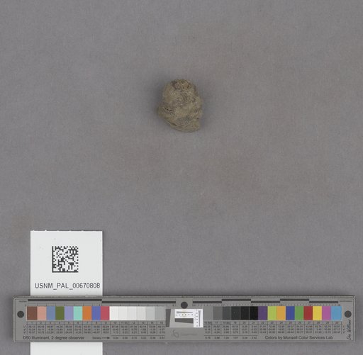 NSF ADBC EPICC TCN