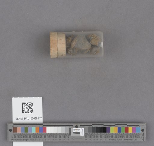 NSF ADBC EPICC TCN