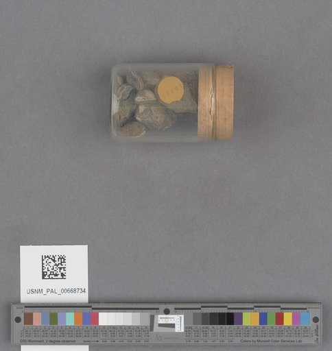 NSF ADBC EPICC TCN