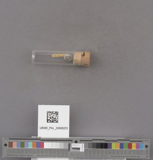 NSF ADBC EPICC TCN