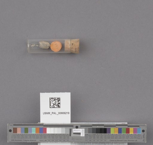 NSF ADBC EPICC TCN